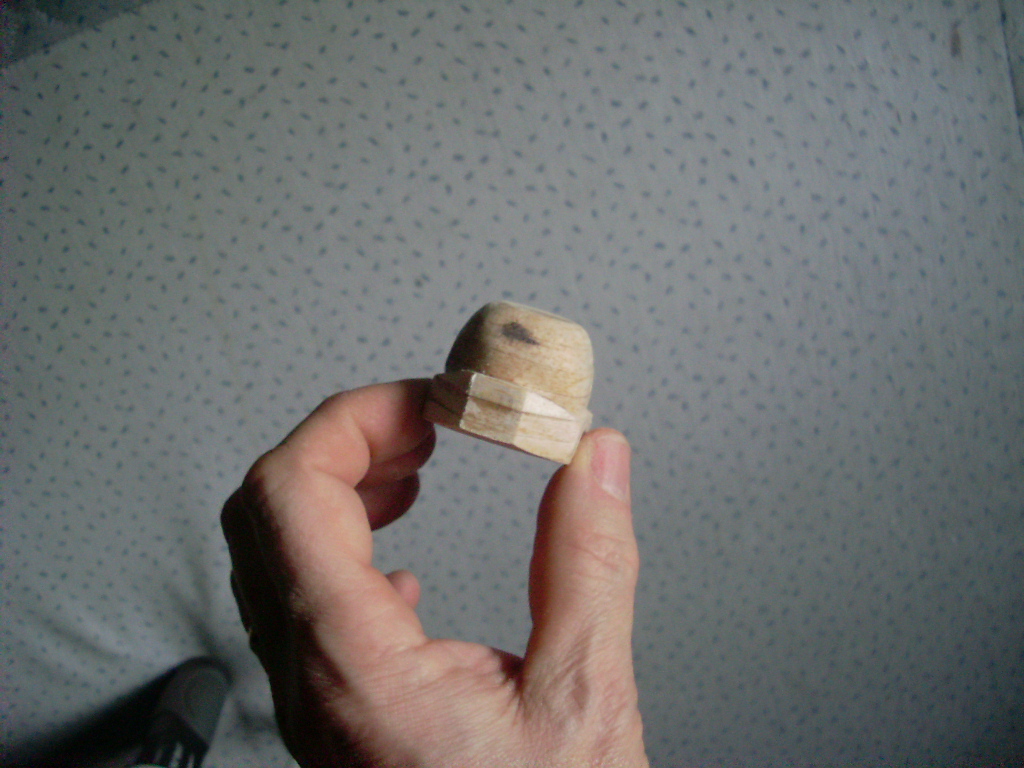 SL370791.JPG