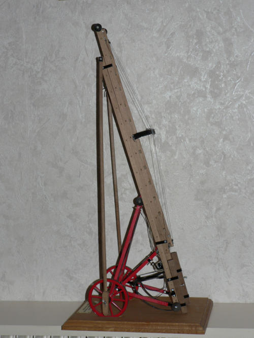 556.jpg