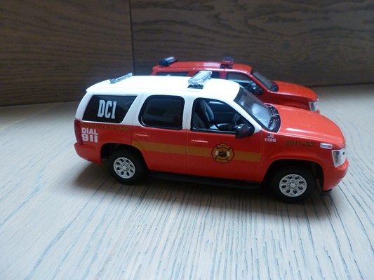P1050521 (Copier).JPG