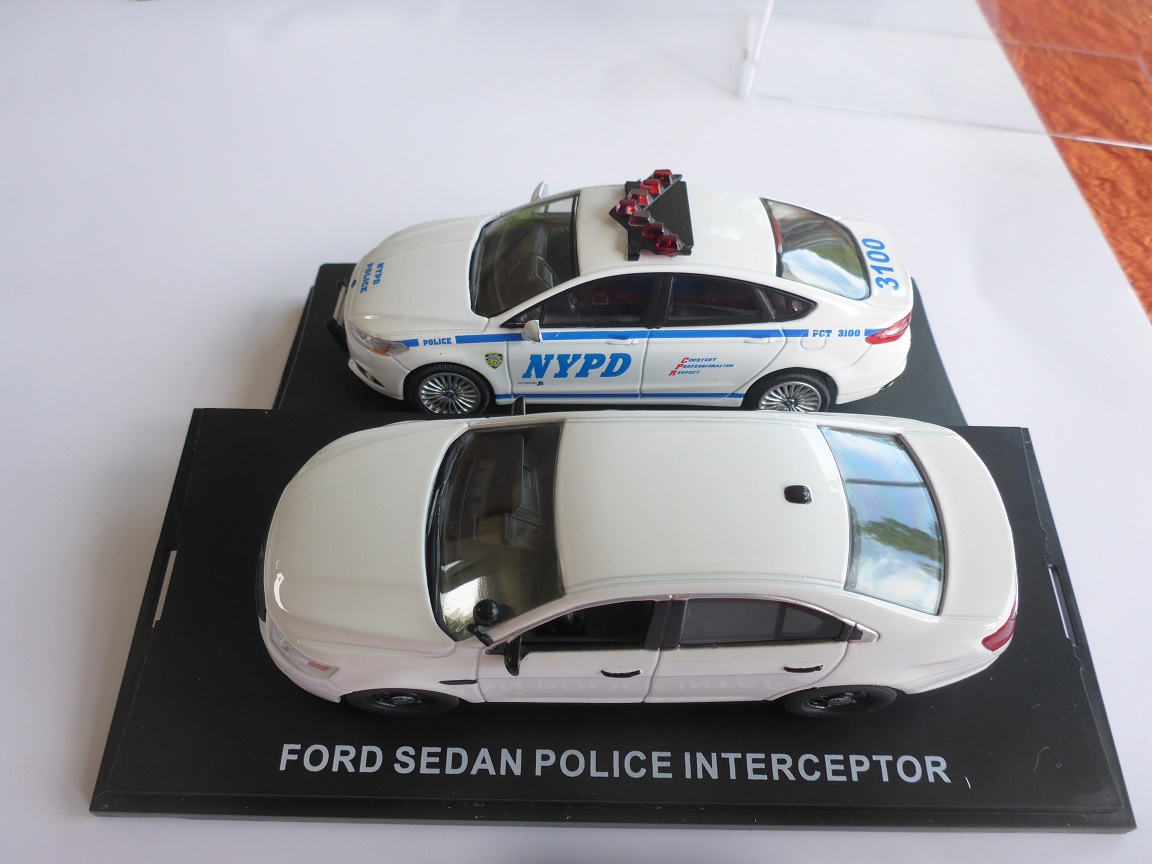 P1010603.JPG