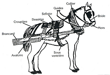 harnais_schema_web.jpg