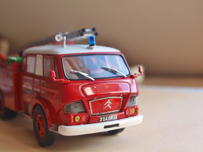 P1017431.JPG