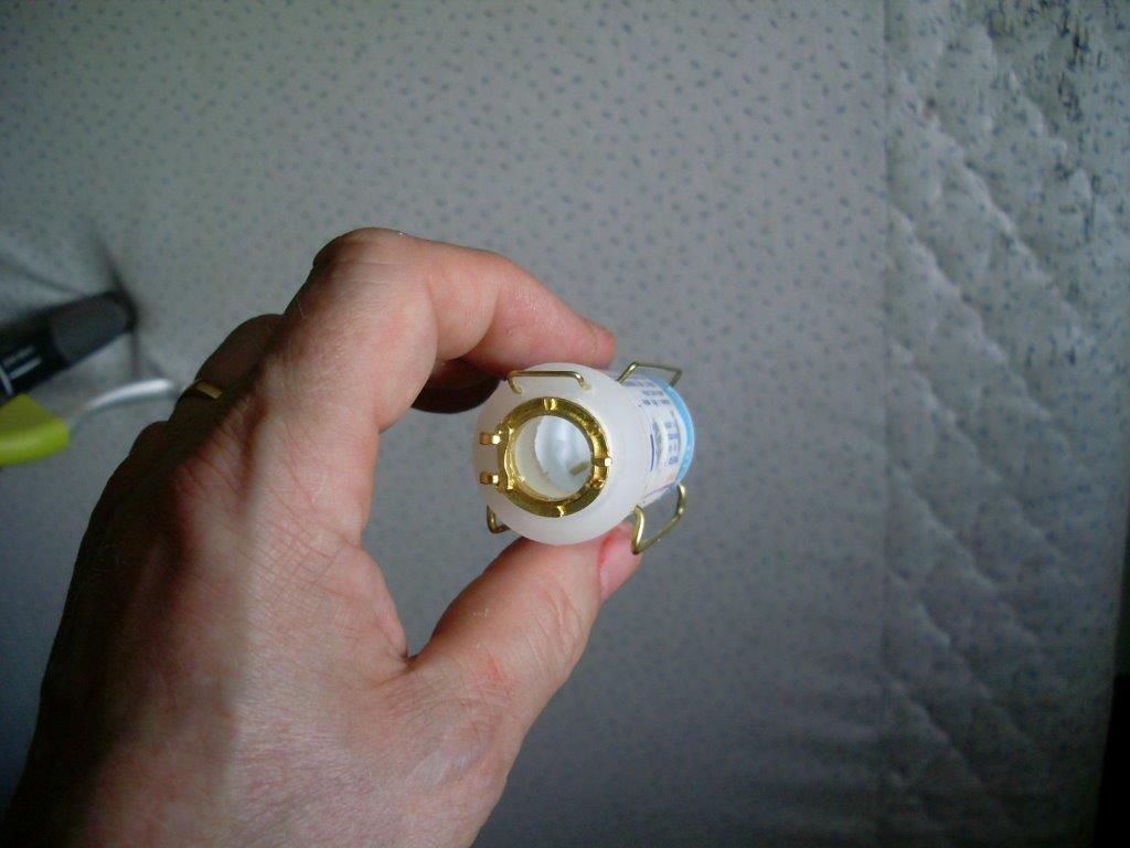 SL371691.JPG