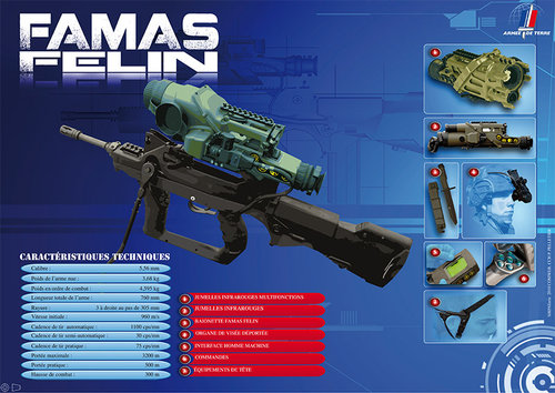 famas-felin_article_pleine_colonne.jpg
