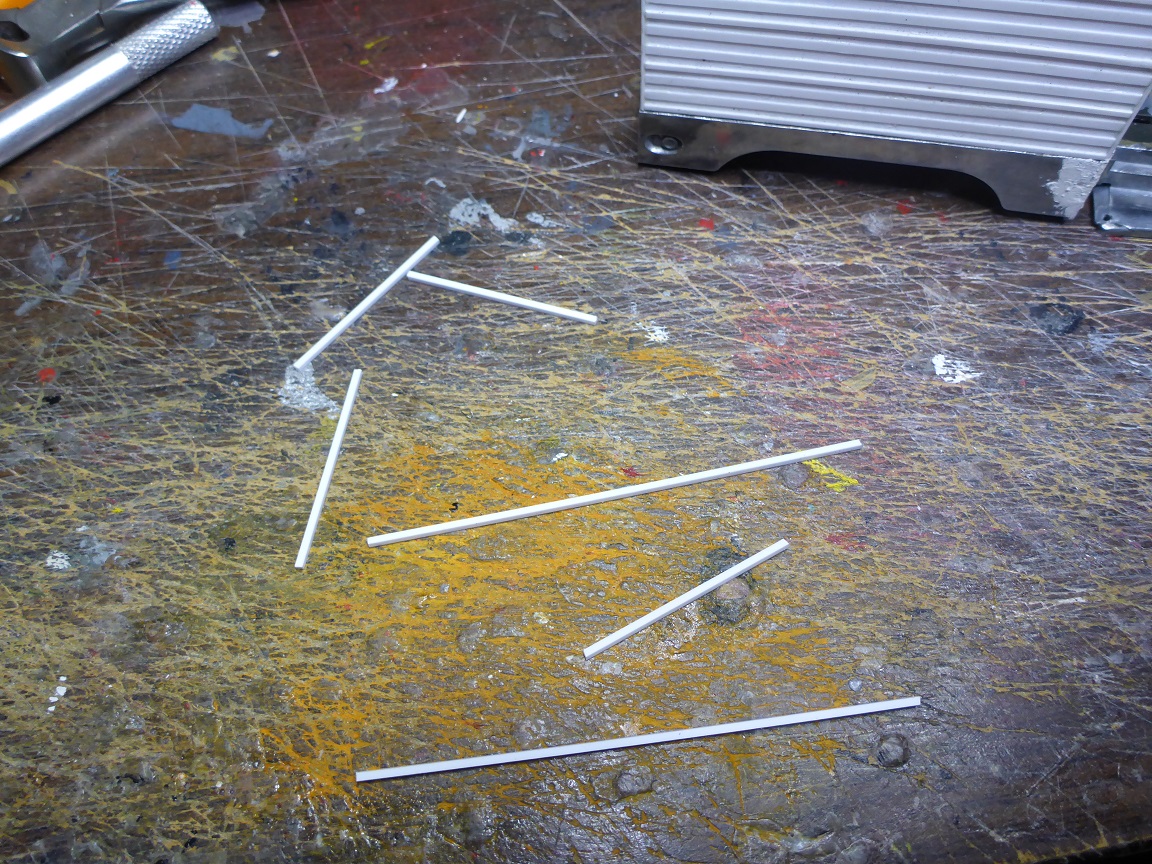 P1000093.JPG
