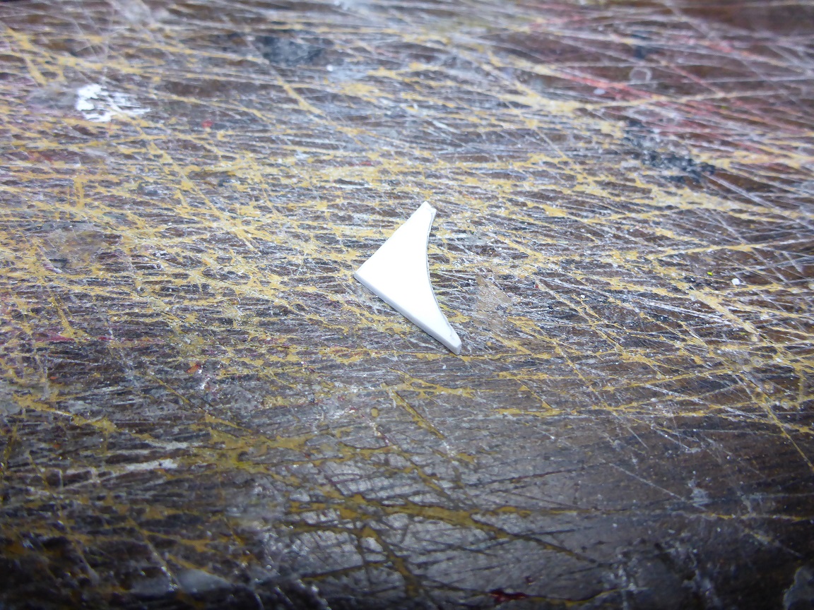 P1000329.JPG