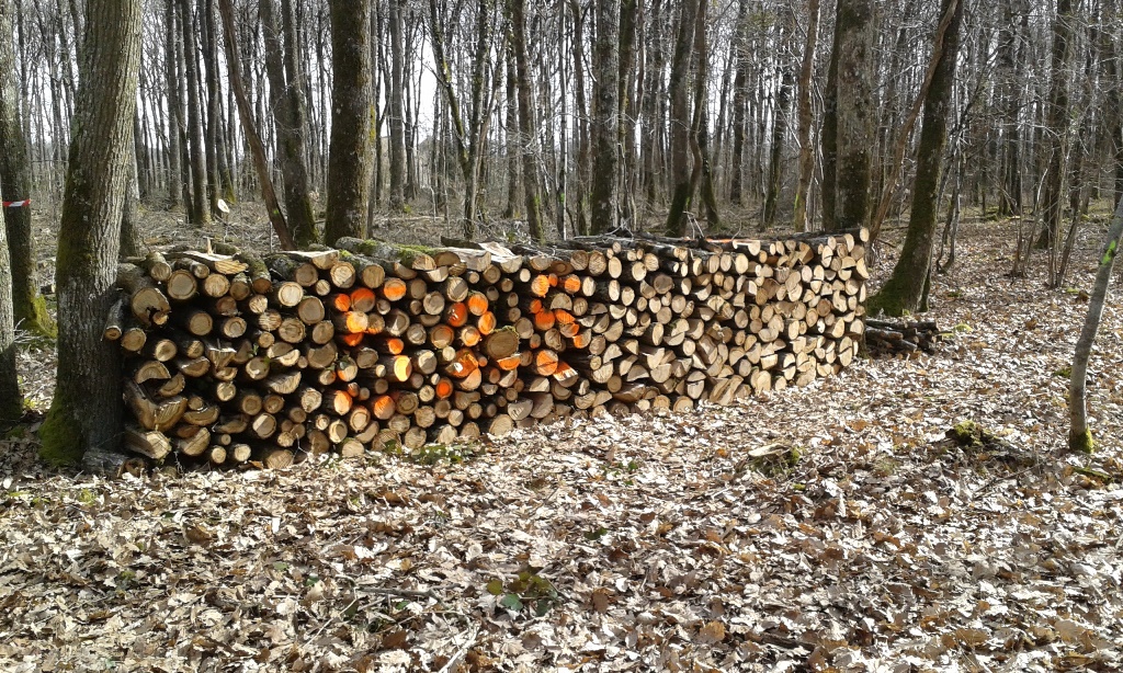 20150307_121303.jpg