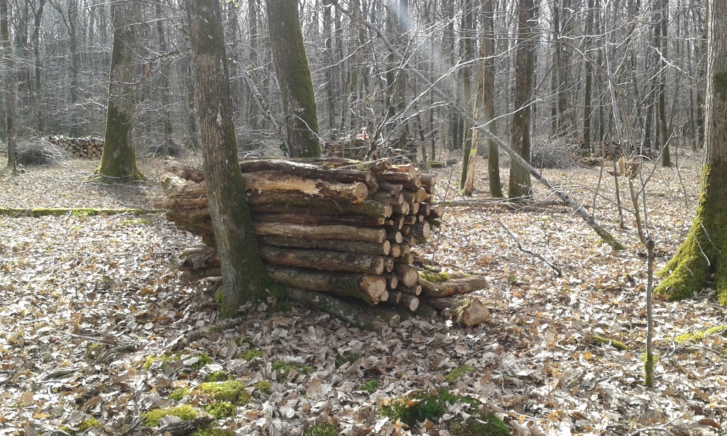 20150307_121311.jpg