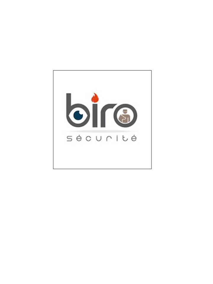 logo biro.jpg