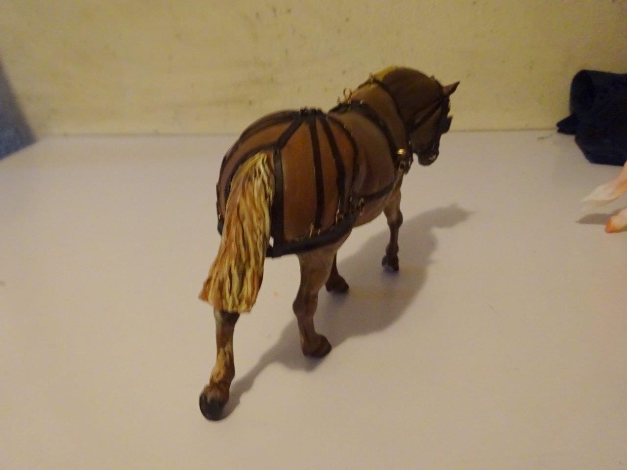 DSC05221.jpg
