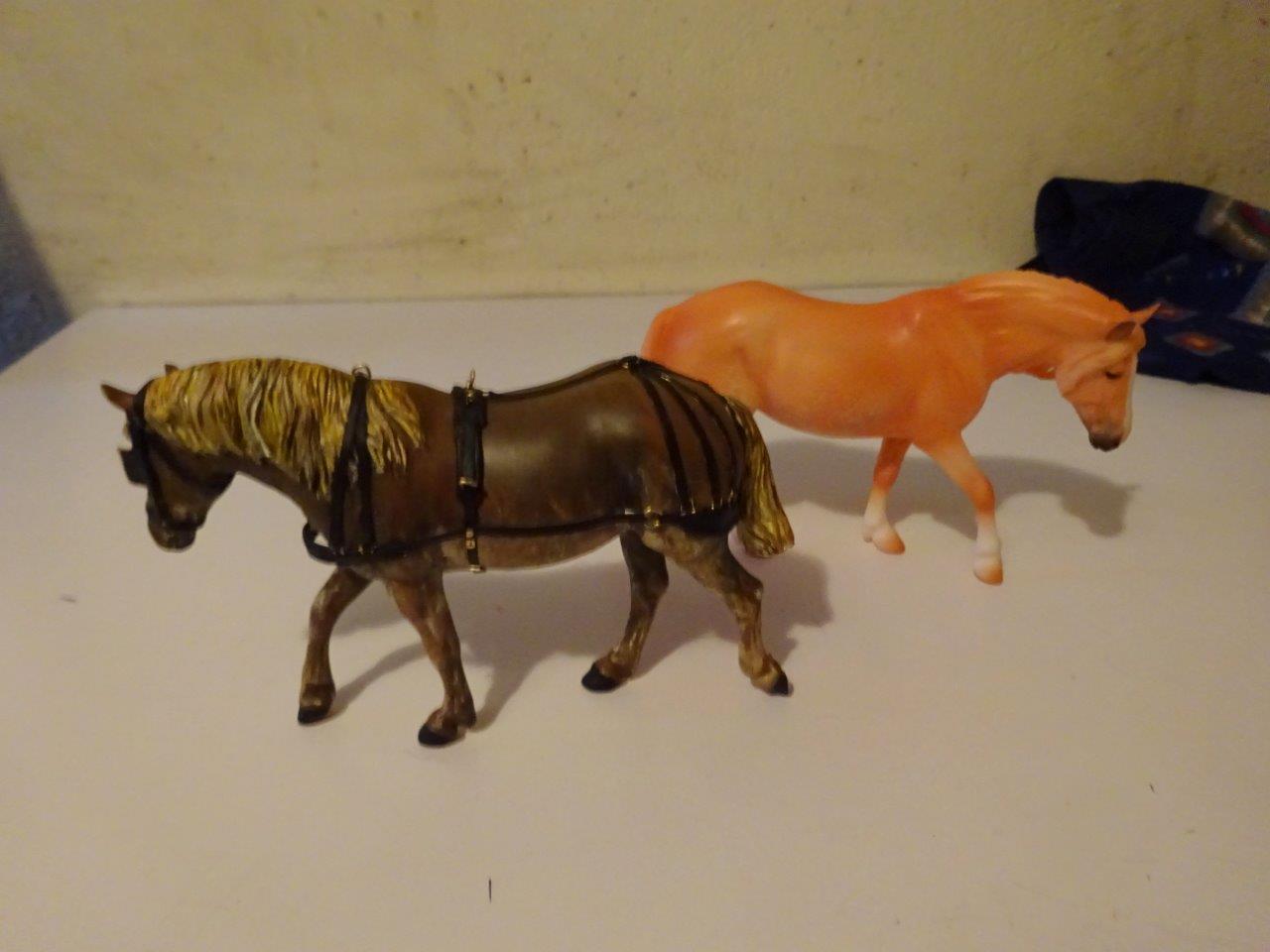 DSC05228.jpg