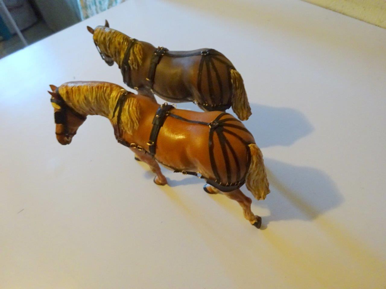 DSC05300.JPG