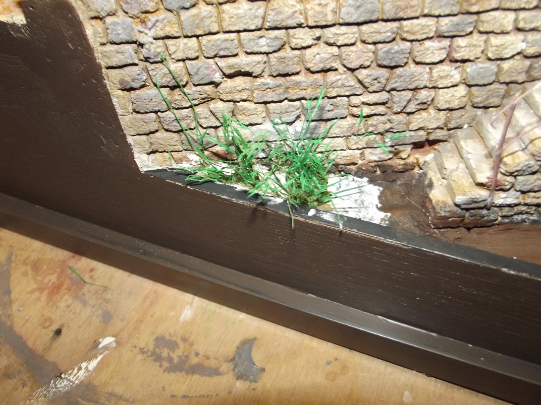 DSCF2504.JPG