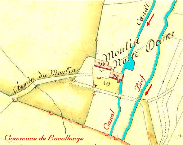 Men-MND-vue-Gale.jpg