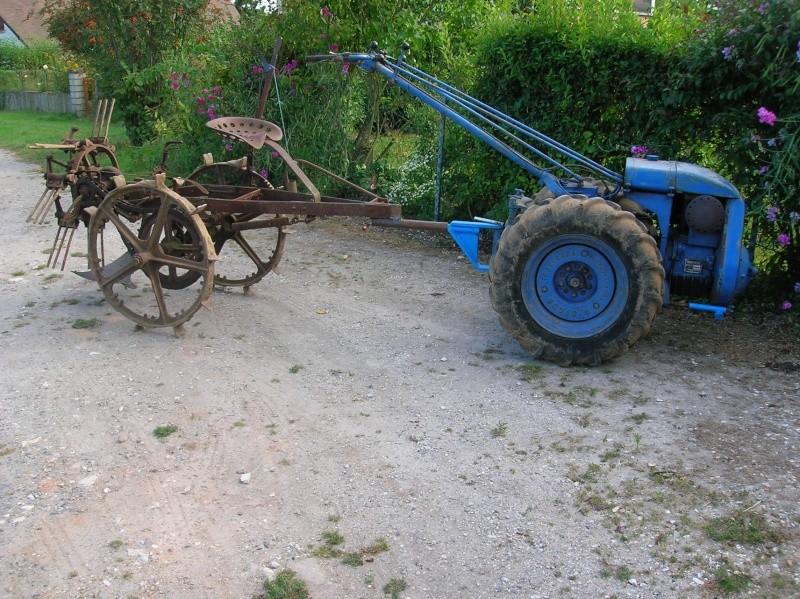 dscn6310.jpg