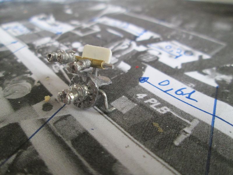 IMG_2795 [800x600].JPG