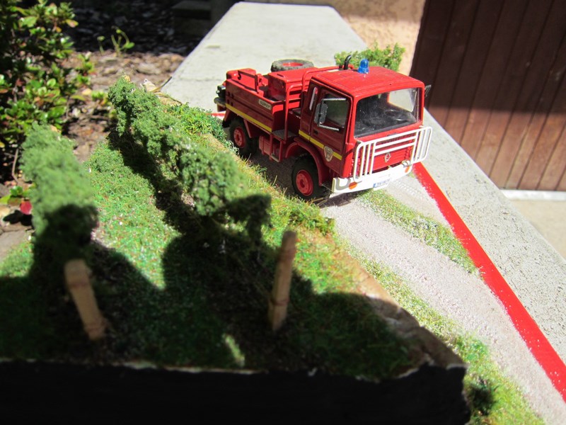 IMG_3954 [800x600].JPG