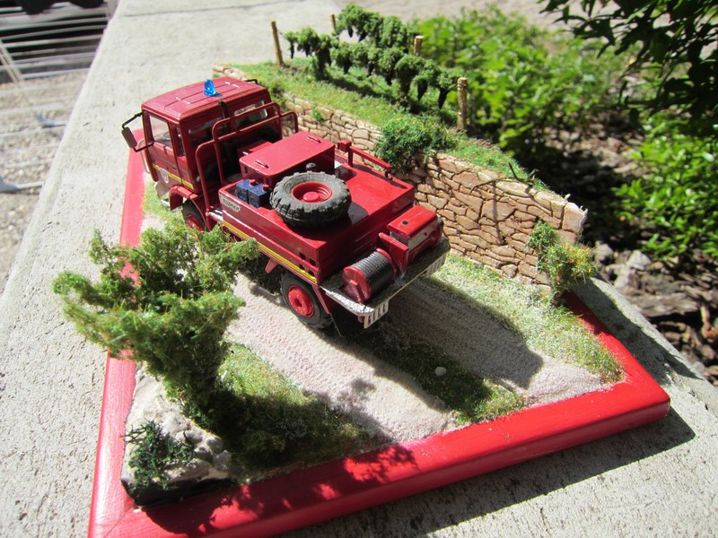 IMG_3957 [800x600].JPG