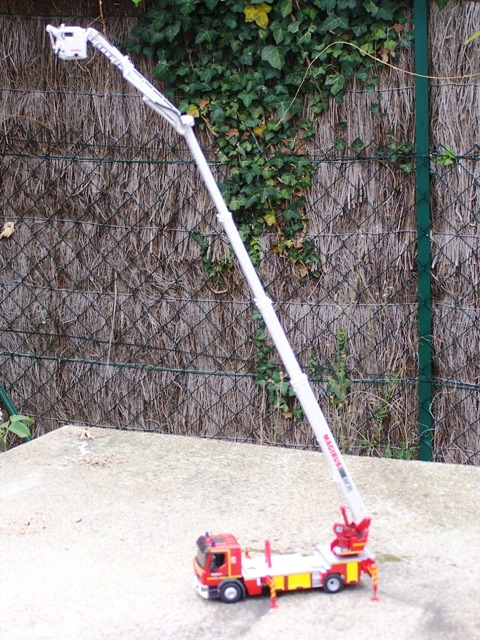 100_9041.JPG