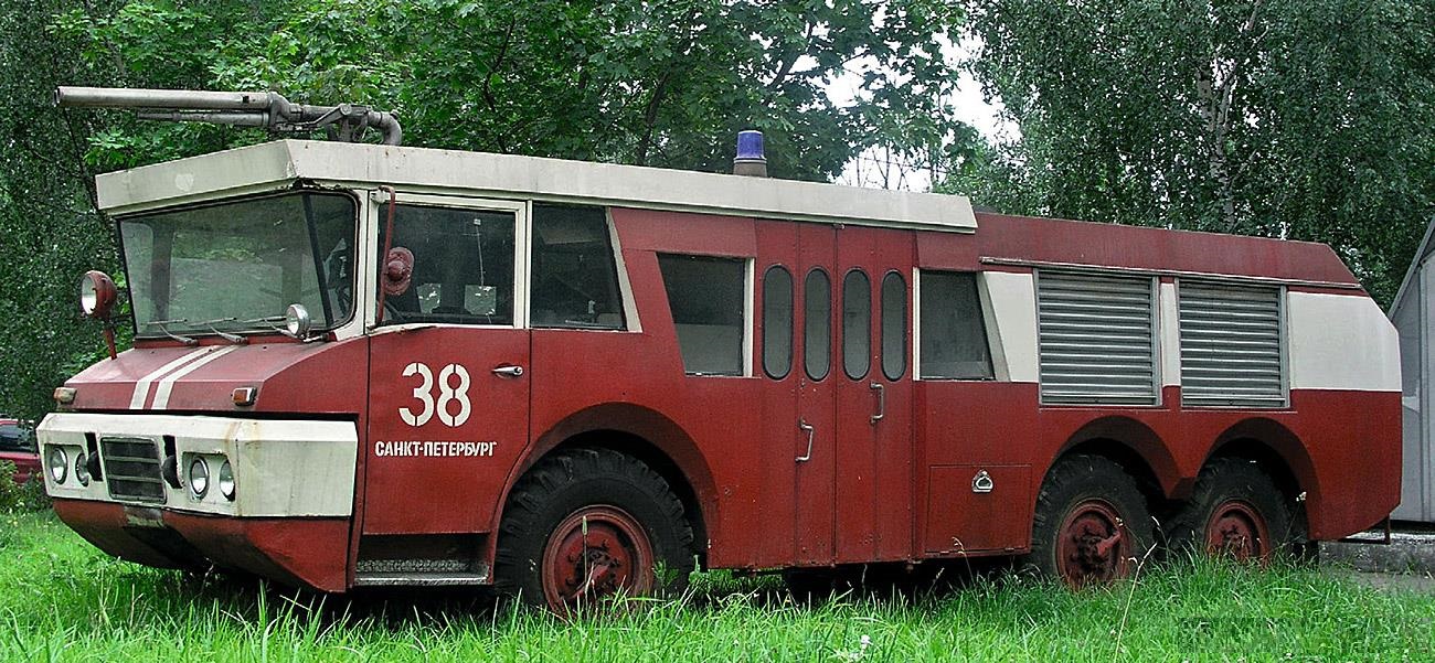 7908310.jpg